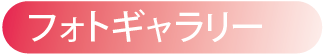 フォトギャラリー
