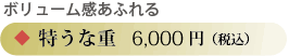 特うな重6000円